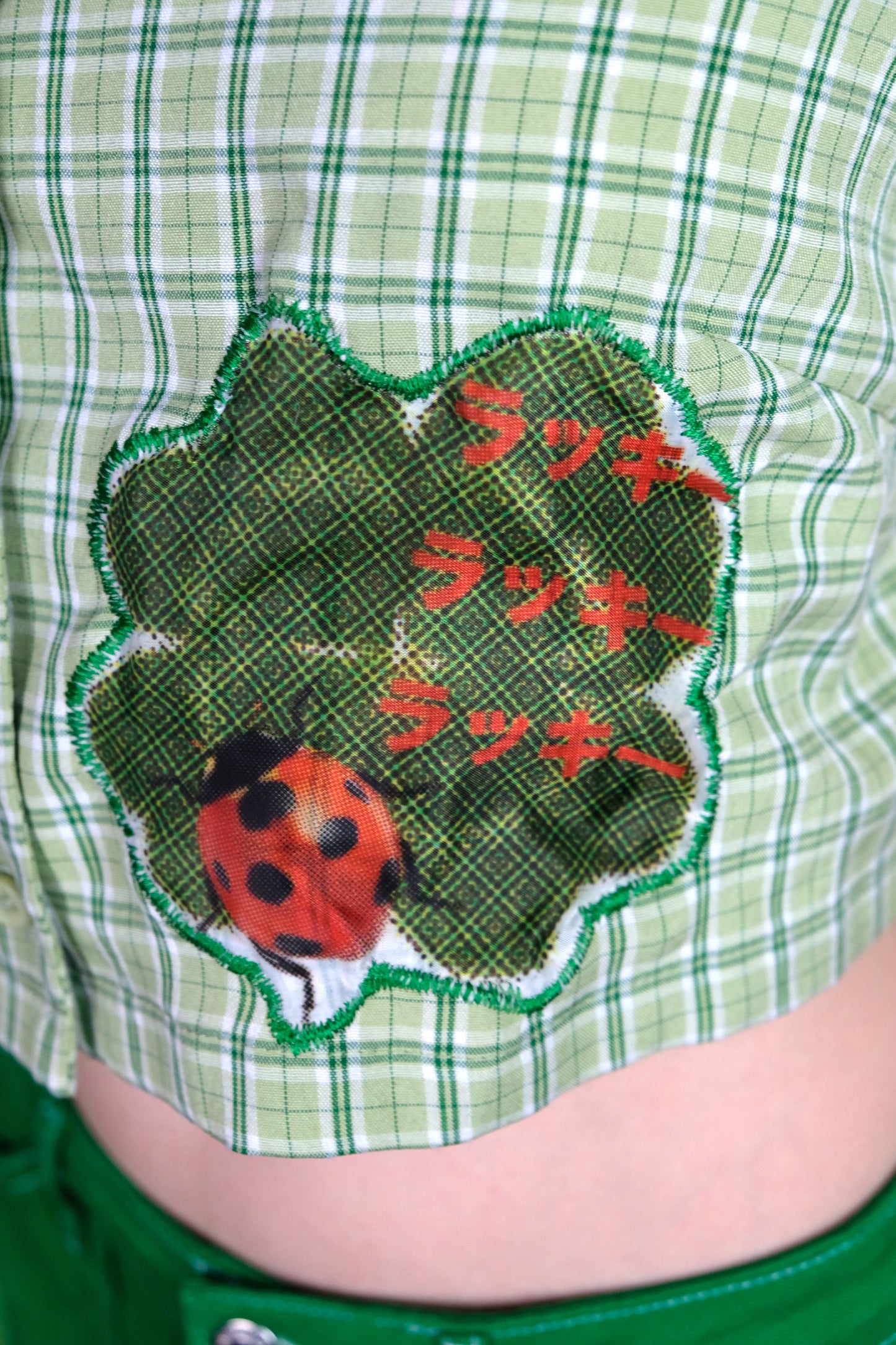 Lucky Bug Reworked shirt 10-12