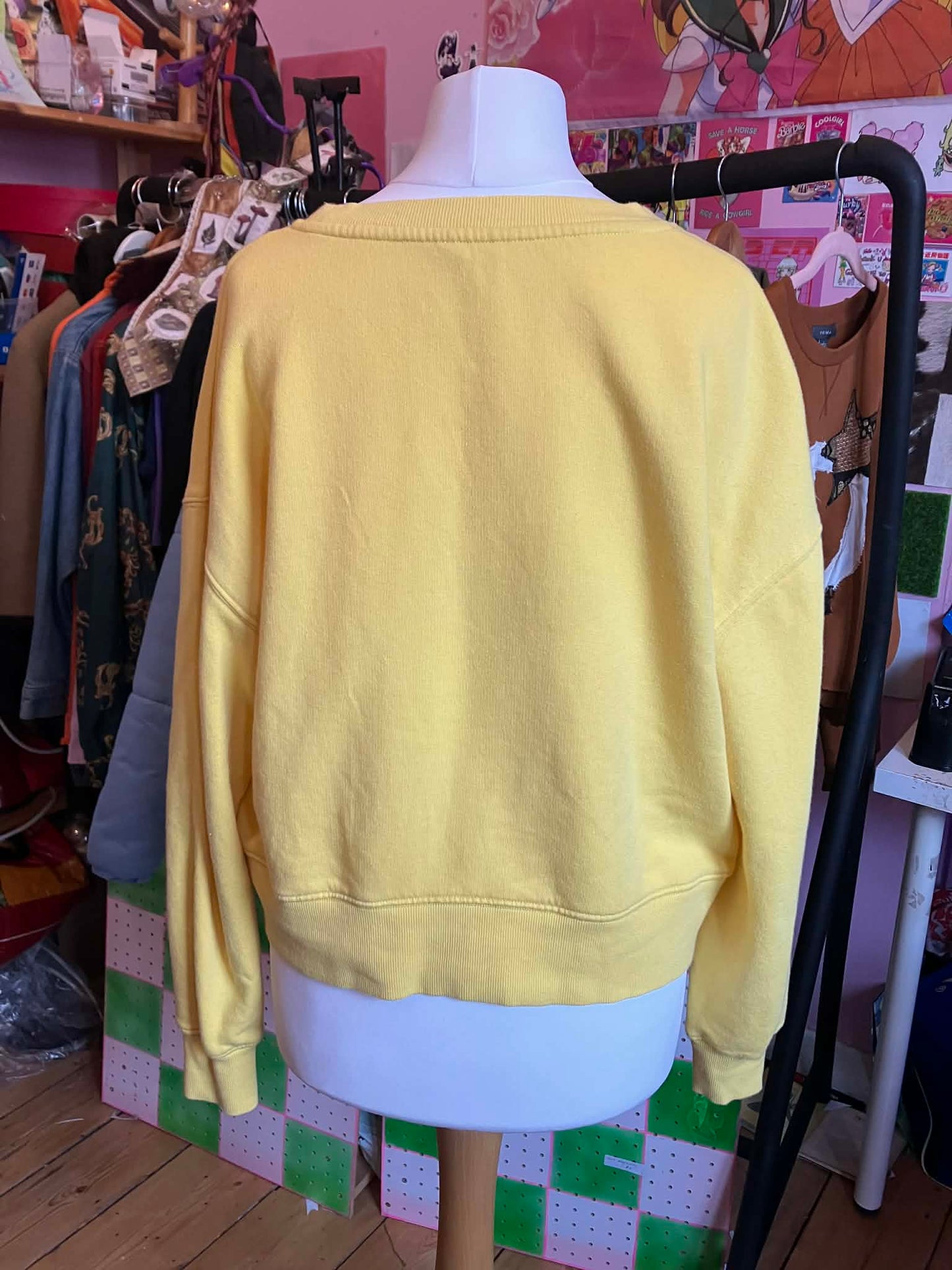 Reworked Veggie Jumper -small