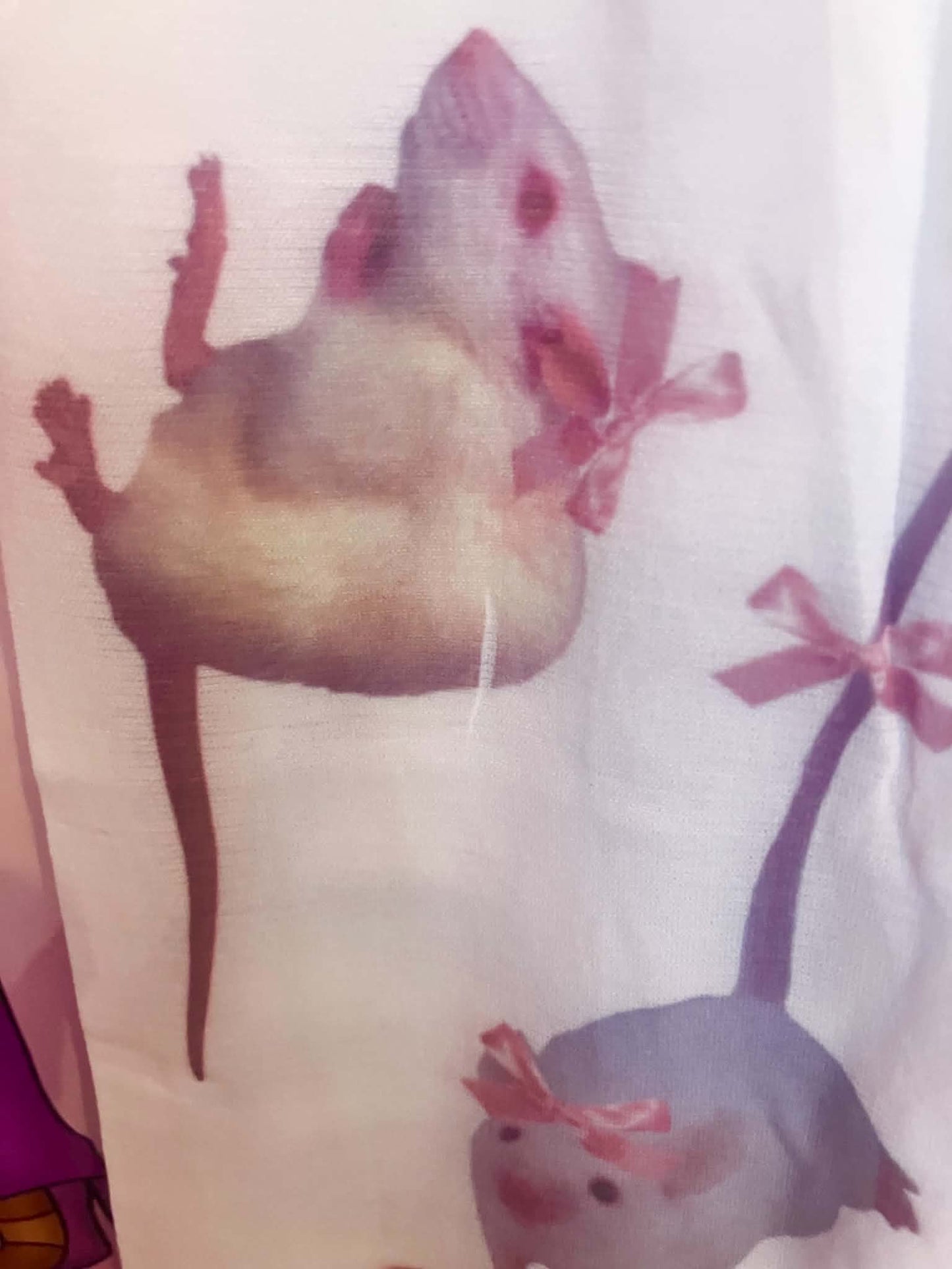 Misprint sale ( faded print )