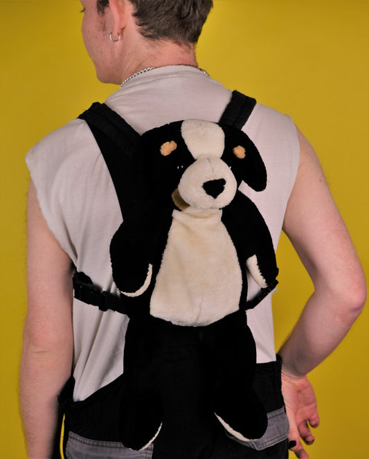 Puppy backpack